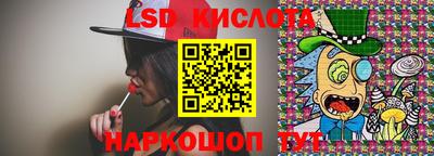 крисы Моздок