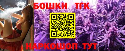 крисы Моздок