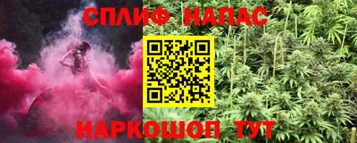 крисы Моздок