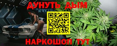 крисы Моздок