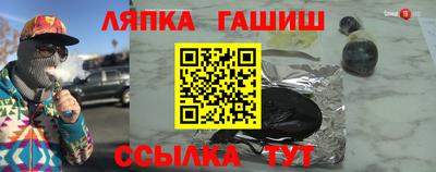 крисы Моздок