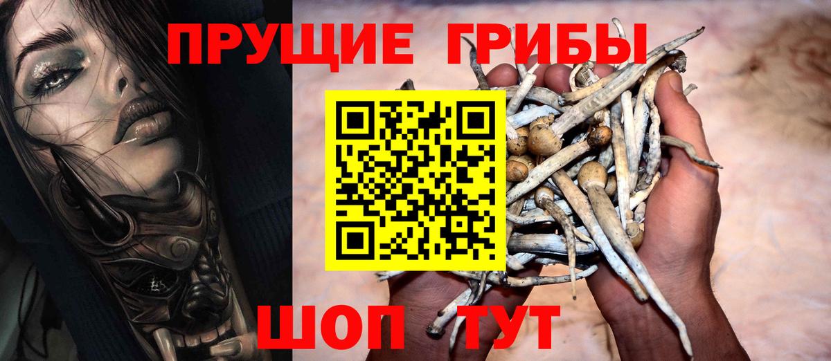 Псилоцибиновые грибы Magic Shrooms  Псилоцибиновые грибы Psilocybine cubensis  Вход с VPN  Гусь-Хрустальный 