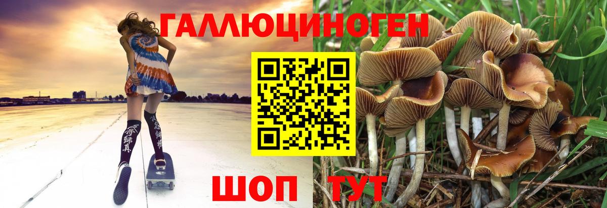 Галлюциногенные грибы мухоморы Гусь-Хрустальный
